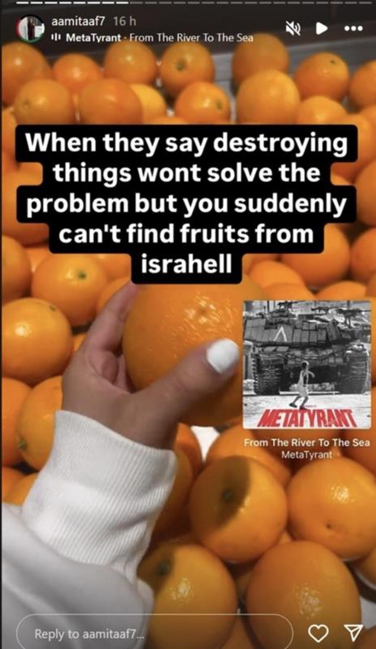 Screenshot taken from the teacher's private story, with a caption reading "When they say destroying things wont solve the problem but you suddenly can't find fruits from israhell".