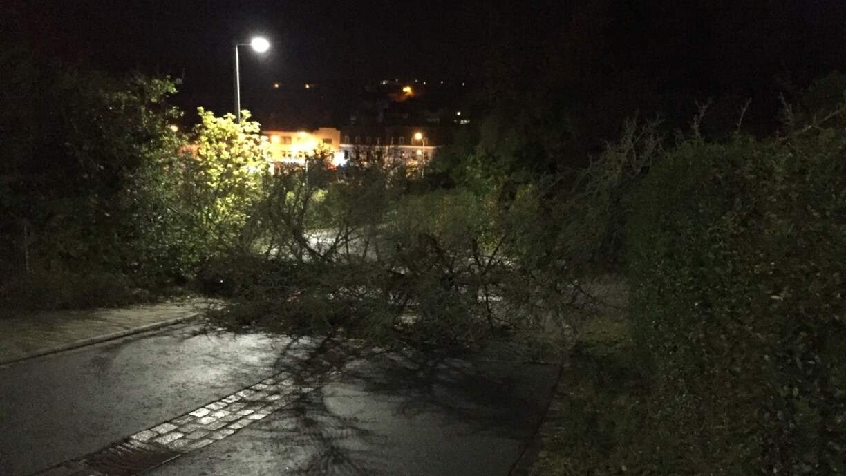 Et gëllt am Verkéier opzepassen, well duerch de Wand deels Beem, wéi hei an der Rue de la Mairie zu Lënster, kéinten ëmgefall sinn a Stroosse kéinte gespaart oder blockéiert sinn.