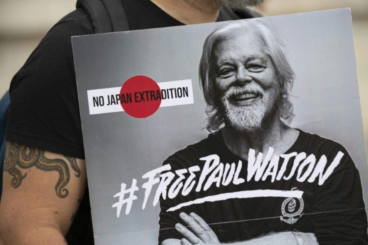 Anti-whaling activist Paul Watson arrived in France after five months in detention in Denmark
