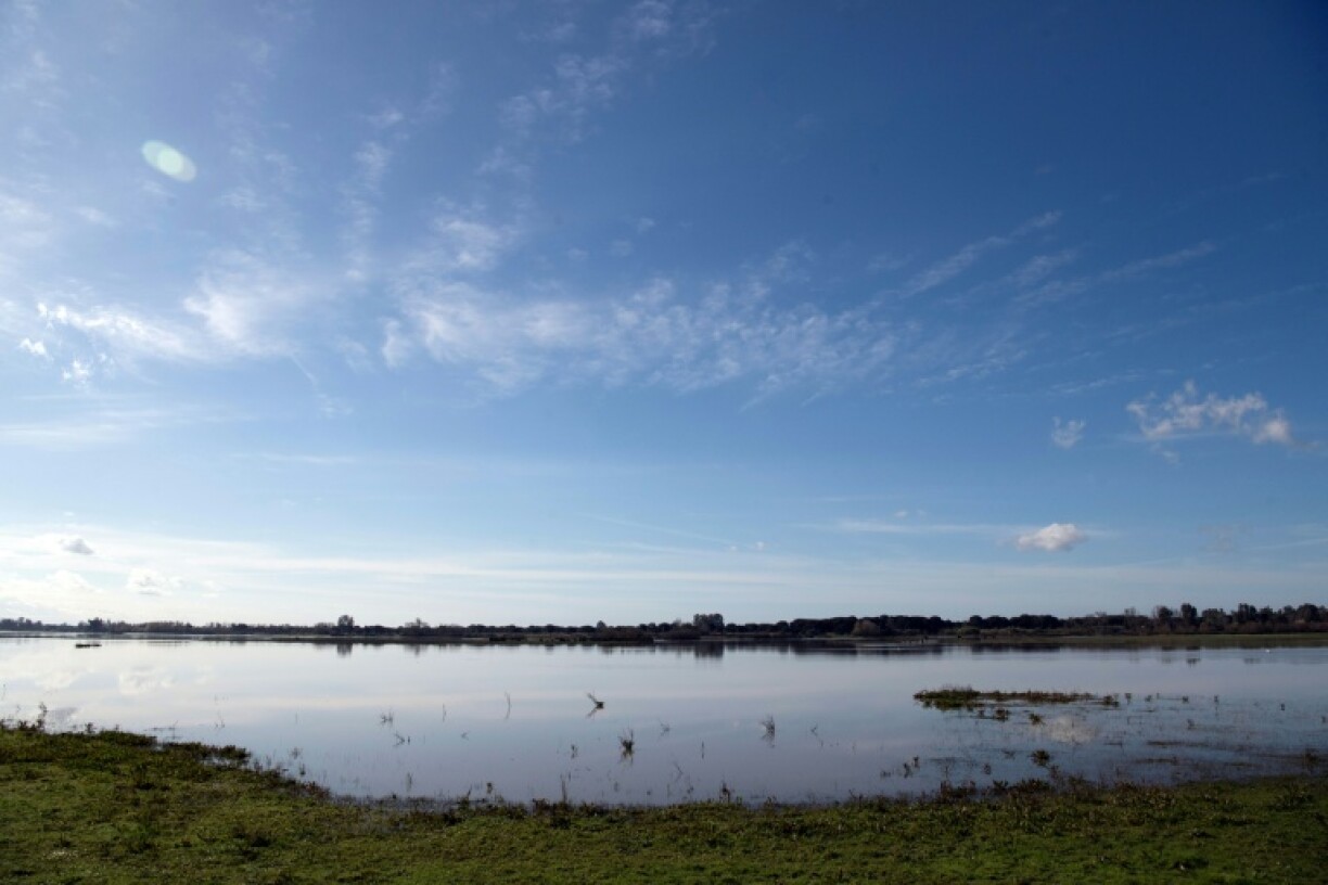 A general view of the marshes of Donana National Park, in Almonte, Huelva, on February 28, 2025