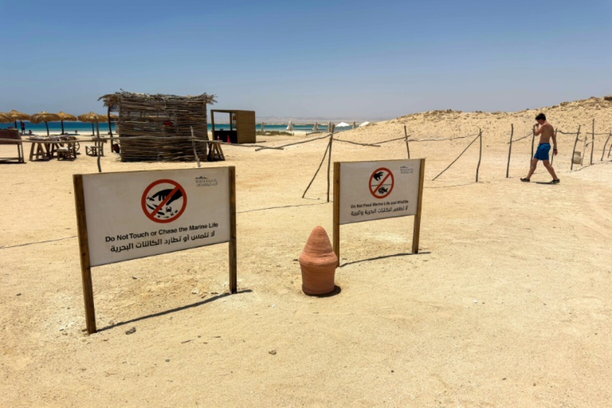 A tourist walks past signs warning people not to disturb the local marine life and wildlife at the beach at the Ras Hankorab