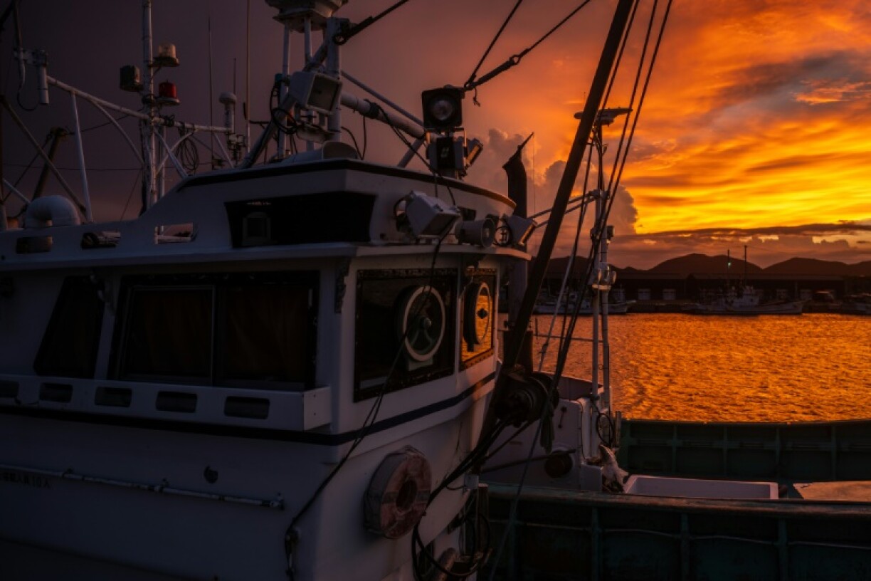 Experts warned against using innovation to increase fishing hauls