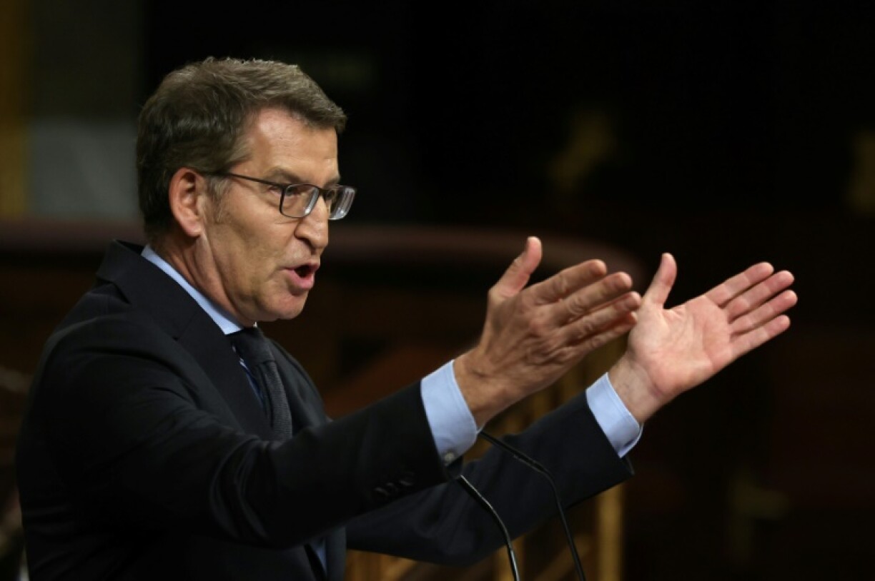 Le chef du Parti Populaire, Alberto Nunez Feijoon, s'exprime devant les députés qui ont voté une loi d'amnistie pour les indépendantistes catalans le 14 mars 2024.