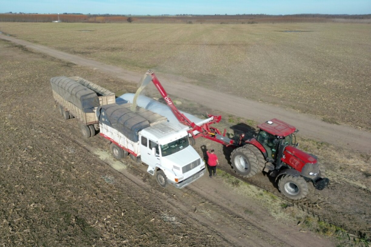 Argentina is one of the world's top producers of soybeans, corn and sunflower oil