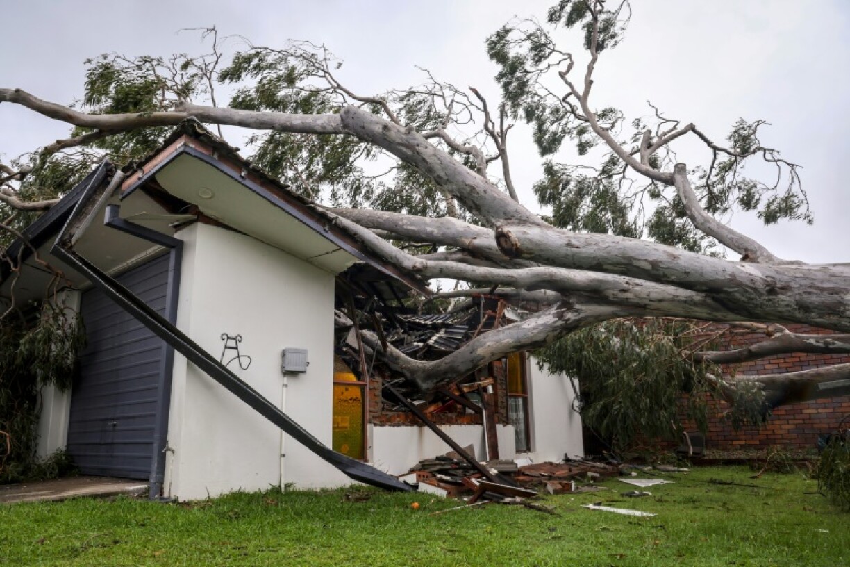 A tree uprooted by strong winds crashed into a home in Elanora, a suburb of Australia's Gold Coast
