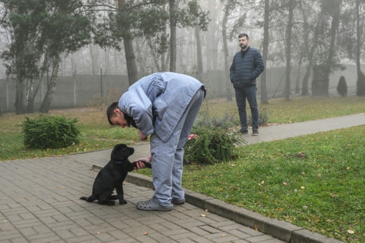 David Hejny says he will buy a puppy when he is out of jail