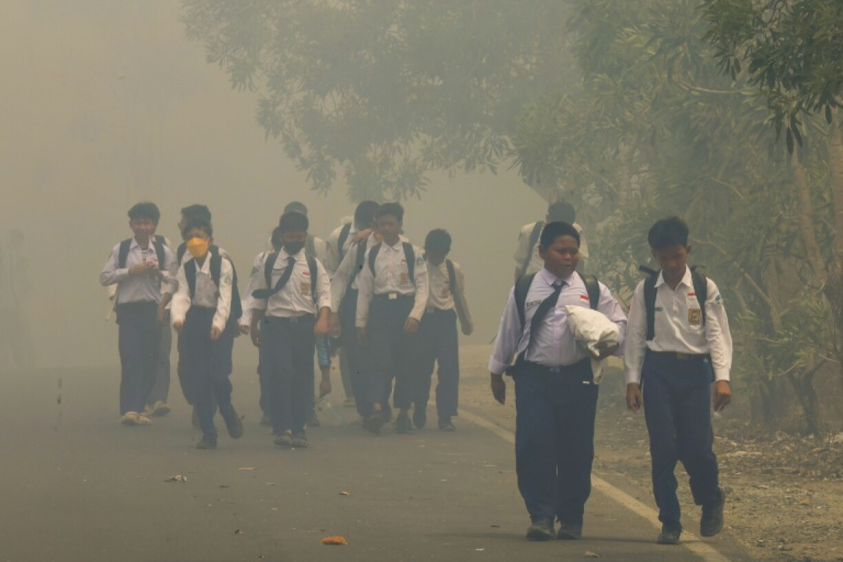 Indonesia experiences fires every dry season, but this year's blazes have been particularly severe, partly due to a particularly severe episode of the El Nino weather phenomenon