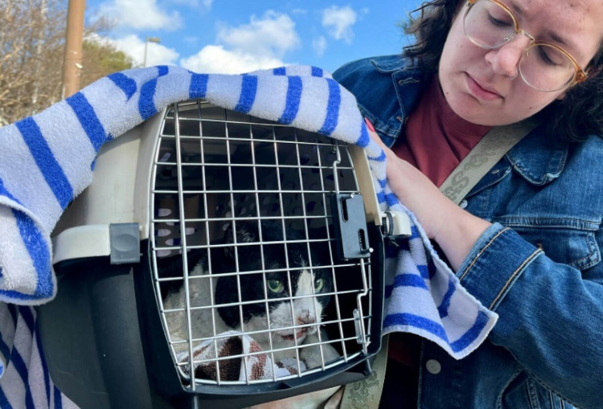 Serena Null recovers her cat Domino, which suffered burns in the wildfire that destroyed her relatives' house