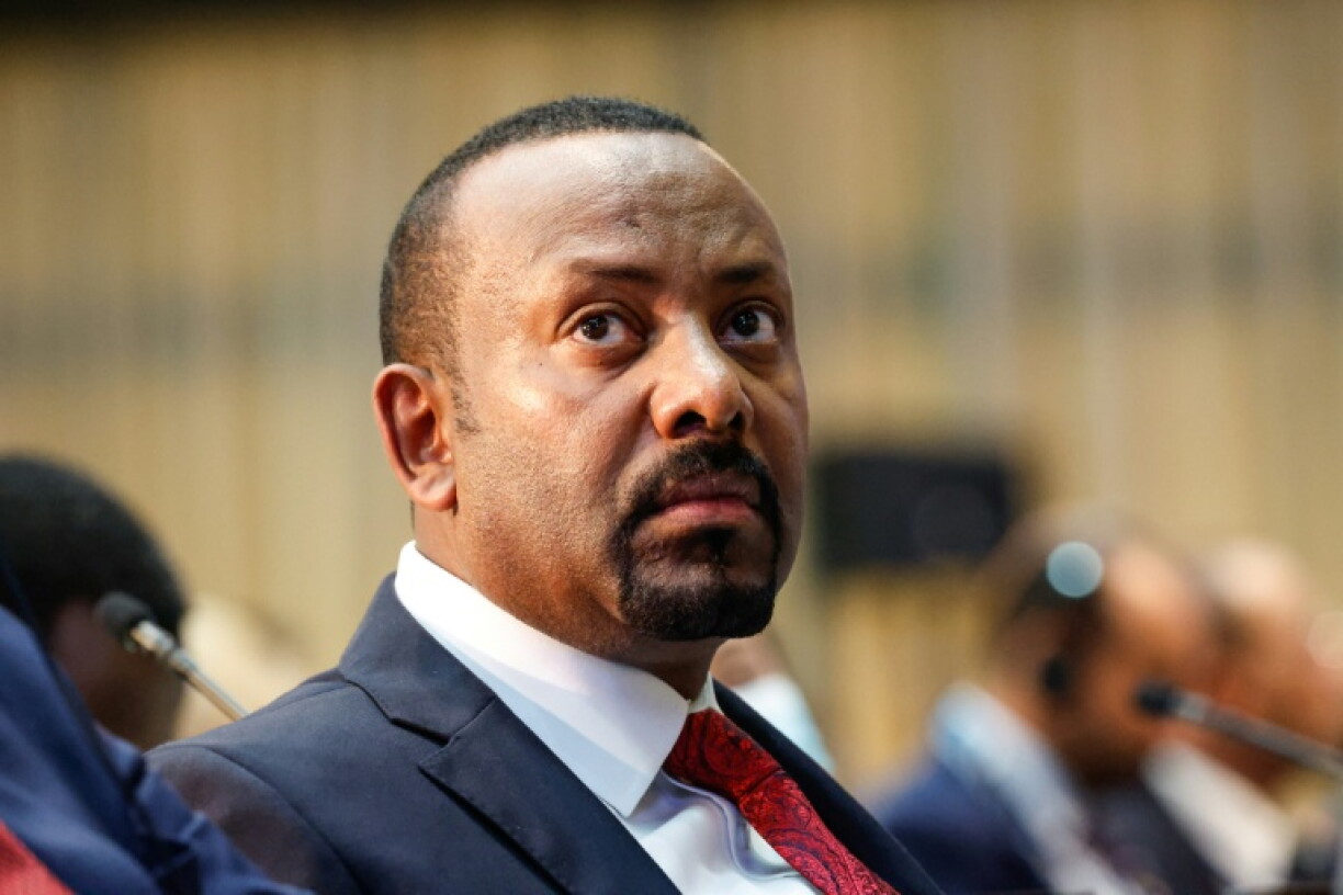 Ethopian Prime Minister Abiy Ahmed said he wanted 'good neigbourly relations' with Eritrea but warned against interference