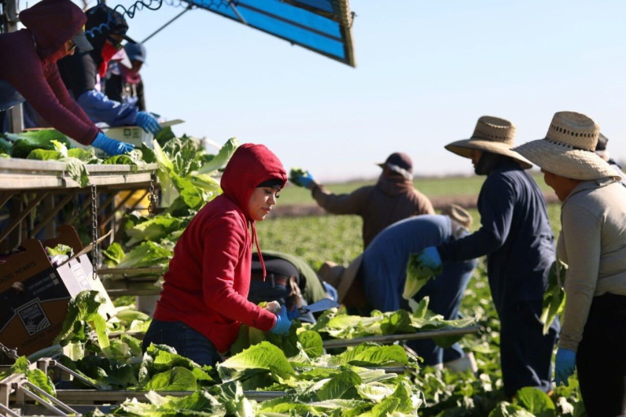 The Trump administration's push to deport thousands of undocumented migrants has fueled anxiety and uncertainty among many who have been in the US for years