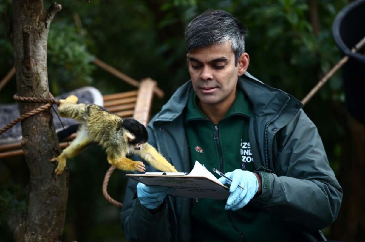 The resident squirrel monkeys also helped with the stocktake