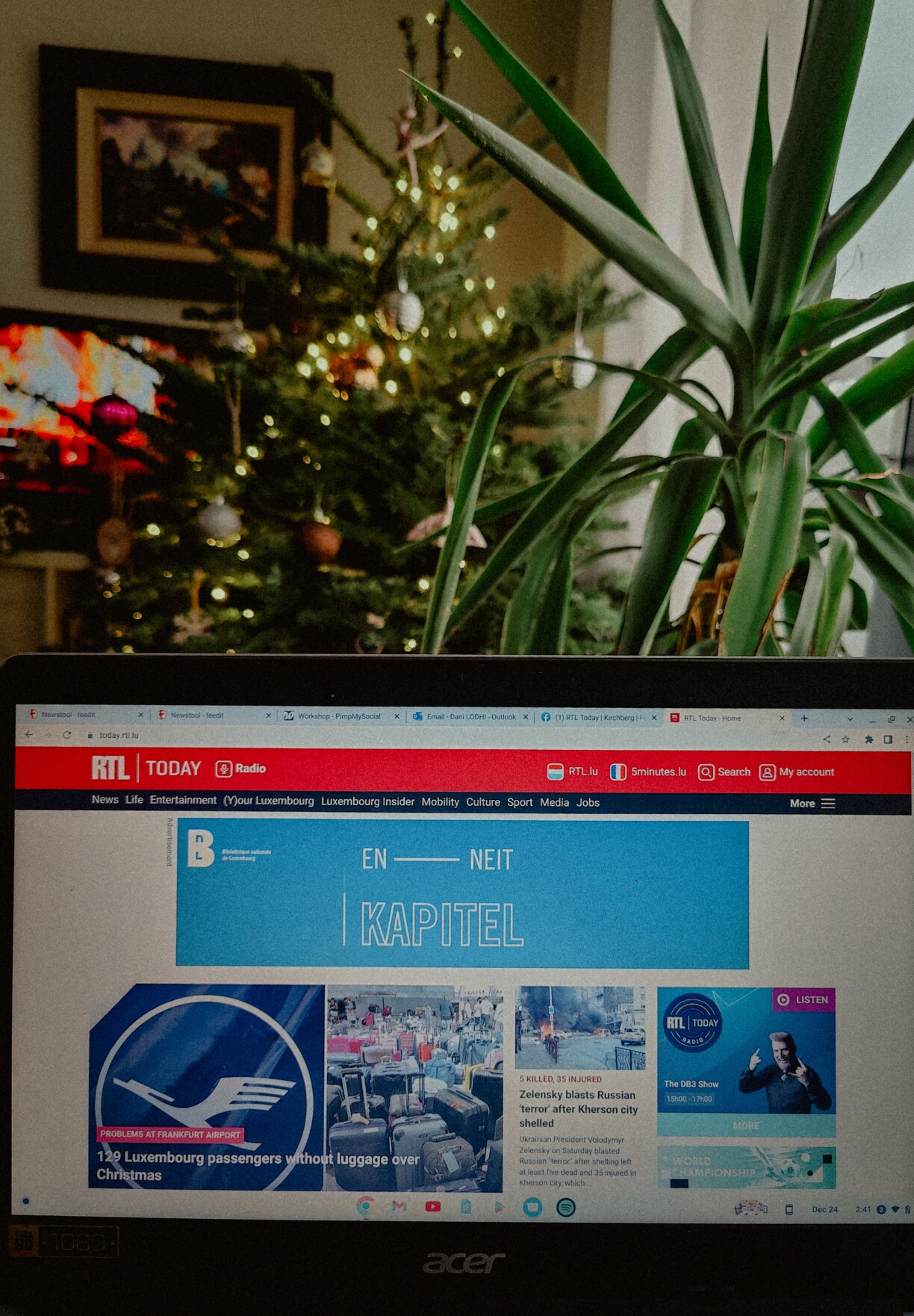 Working from home with the tree, the Netflix fire crackling and a festive, er, palm tree... it's all about ambience for Dani Lodhi-Dunne.