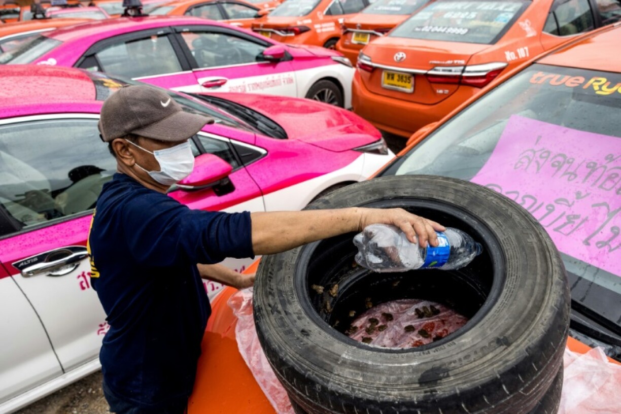 L'arrosage vise aussi les grenouilles nichées dans un vieux pneu, à Bangkok le 15 septembre 2021