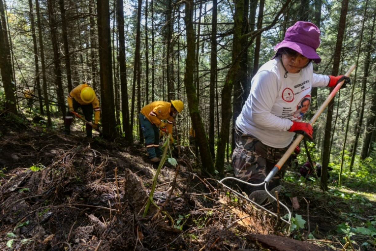 Mothers dug the ground with pitchforks and shovels, as they combed a large wooded area in Ajusco, a volcanic hill south of Mexico City