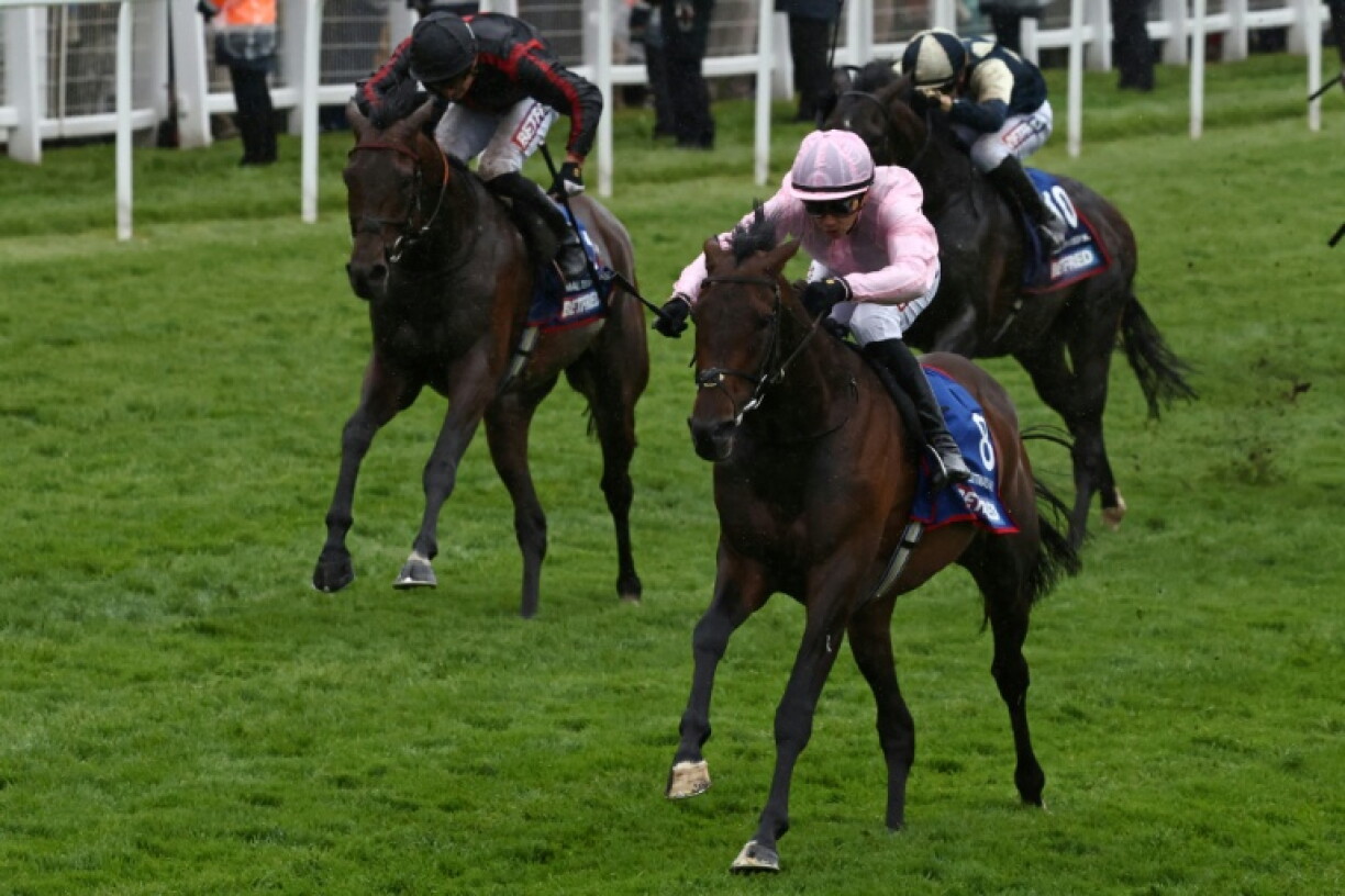 Maltese Cross (L) finished second in the Epsom Derby but has improved with every race since then says his trainer William Haggas