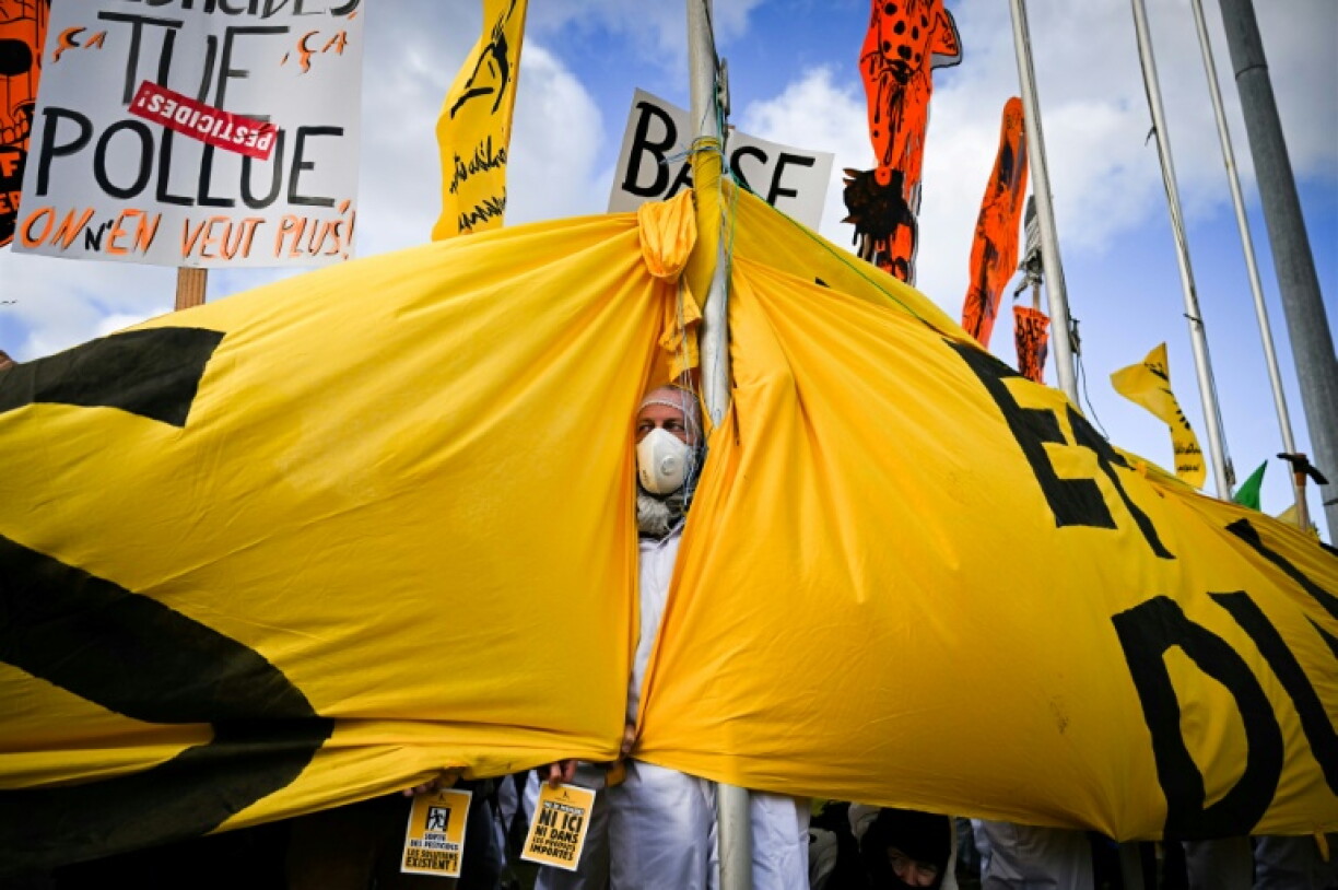 The EU has vowed to ban 'forever chemicals' in everyday consumer products, like clothing and pizza boxes as activists demand action