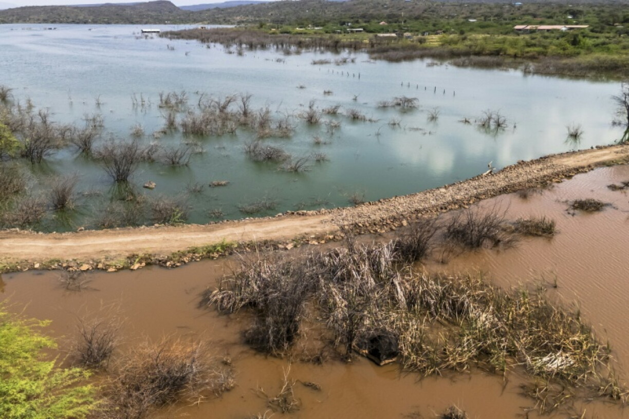 Une image aérienne montre, le 29 juillet 2026, le voisinage entre l'eau saline du lac Bogoria, au Kenya, et l'eau douce du marais de Kiborgoch, alimenté par un affluent du lac Baringo