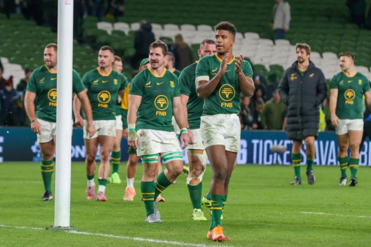 South Africa players celebrate after the win over Ireland in Dublin