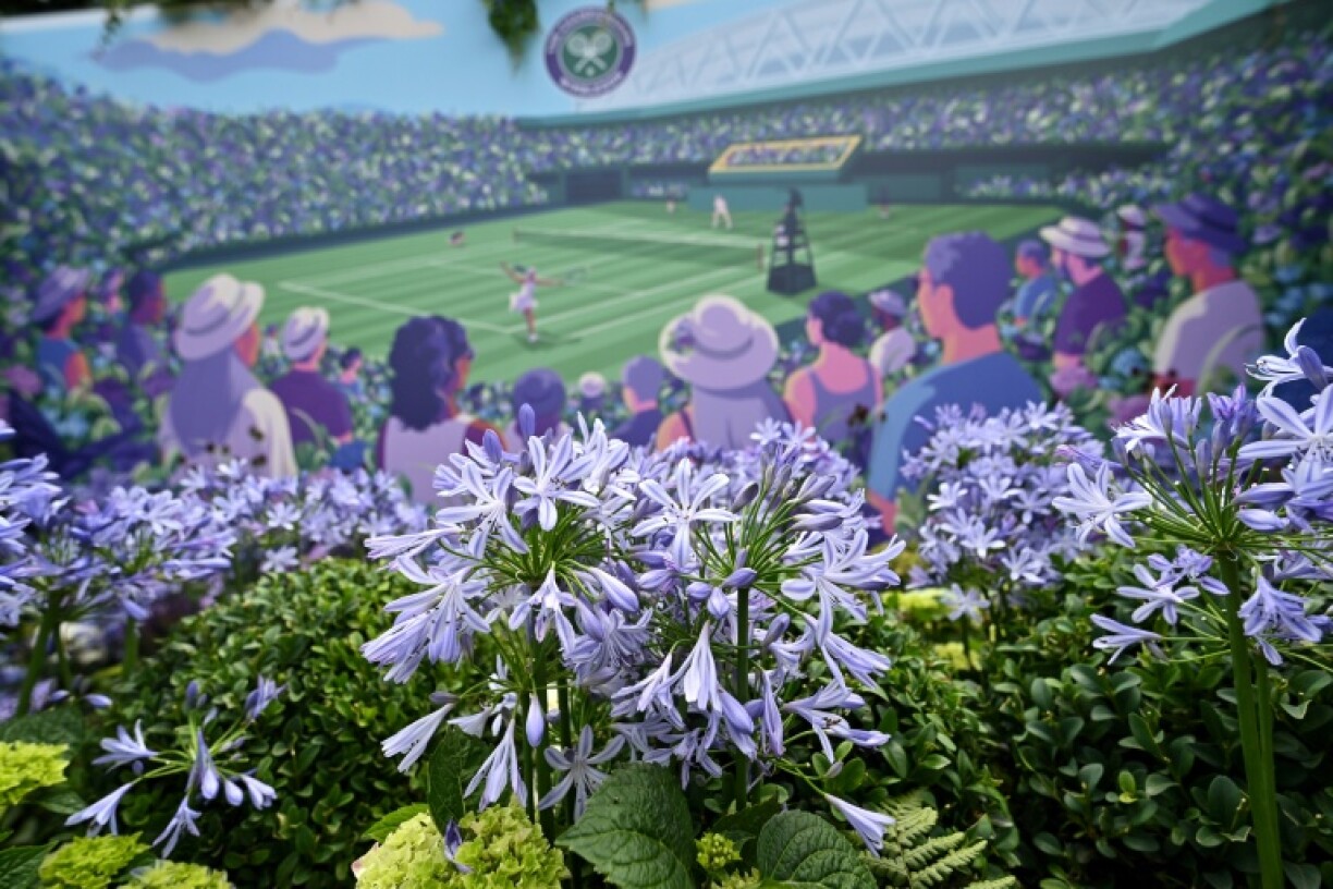 Around 27,000 plants are brought in for Wimbledon