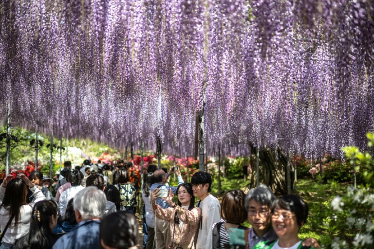 Traditionally, Golden Week gives Japanese workers one of their longest breaks in the year, with many taking the opportunity to see other parts of Japan
