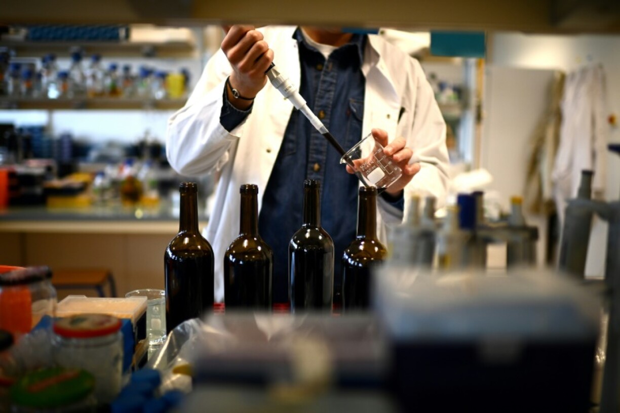 Un chercheur analyse le vin expérimental du Château La Tour Carnet à l'Institut des Sciences de la Vigne et du Vin de Villenave-d'Ornon, le 9 novembre 2023 près de Bordeaux, en Gironde