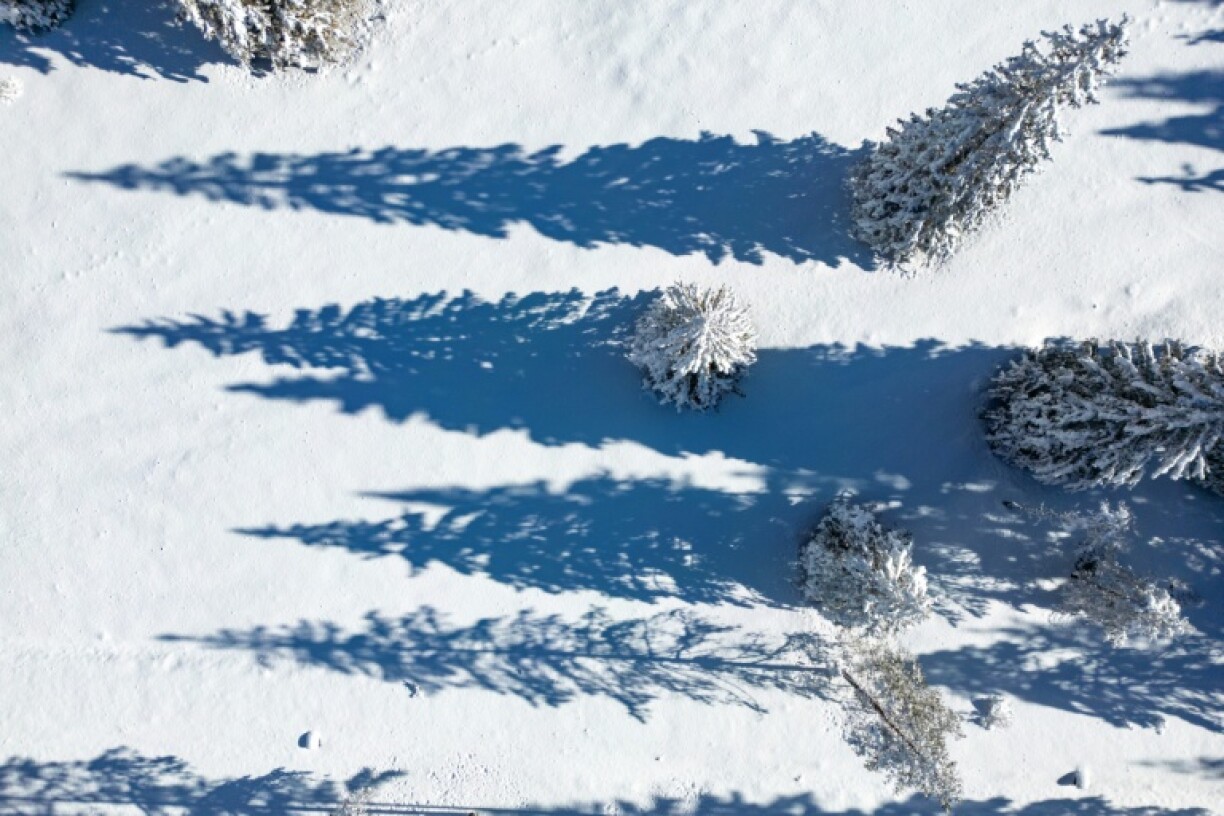 Trees cast long shadows on new snow along a mountain pass road near Toblach running between the Olympic venues in Cortina and Antholz, northern Italy prior to the Milano Cortina 2026 Olympic Games, on January 26, 2026.