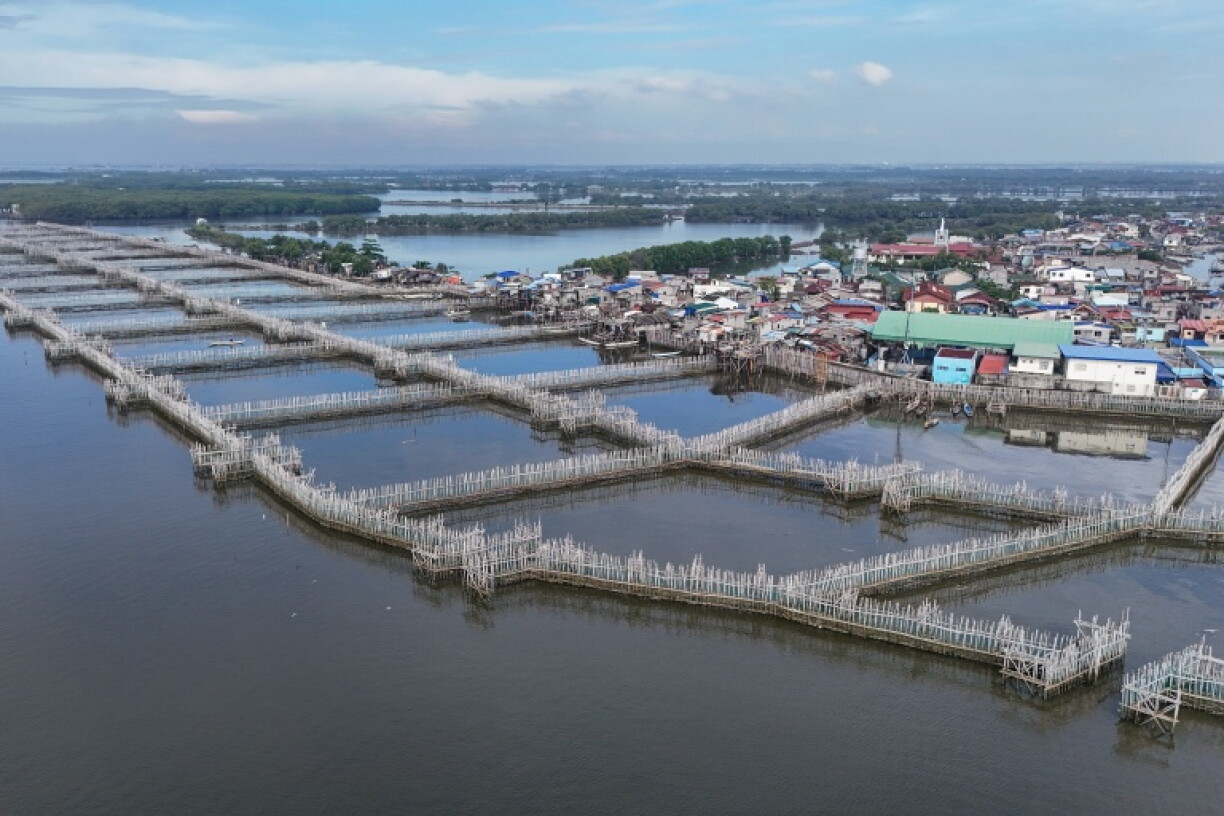 Bamboo sediment traps designed to slow water flow next to houses at Pamarawan Island in Malolos City, Bulacan province