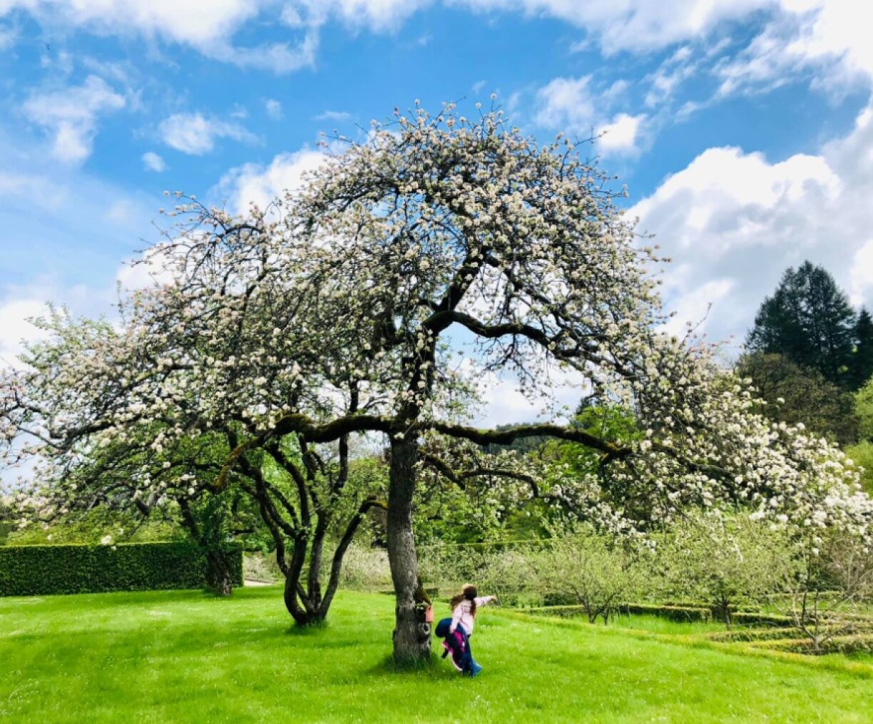Chateau d'Ansembourg