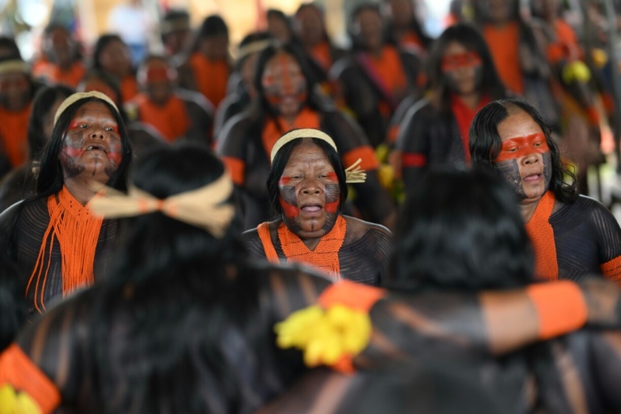 Indigenous communities want as much of a say as world leaders at this year's UN climate change conference in the Brazilian Amazon