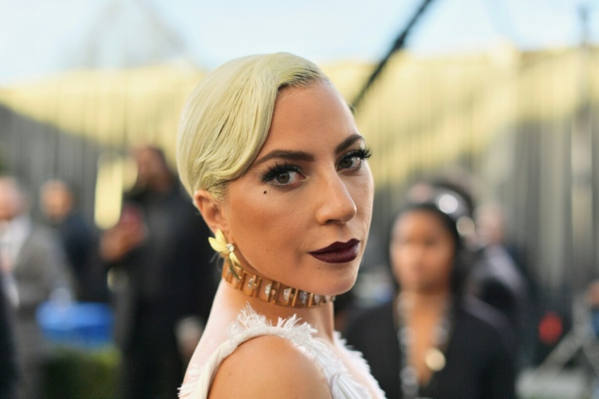 Après le vol de deux de ses chiens à Hollywood, Lady Gaga avait offert une récompense de 500.000 dollars