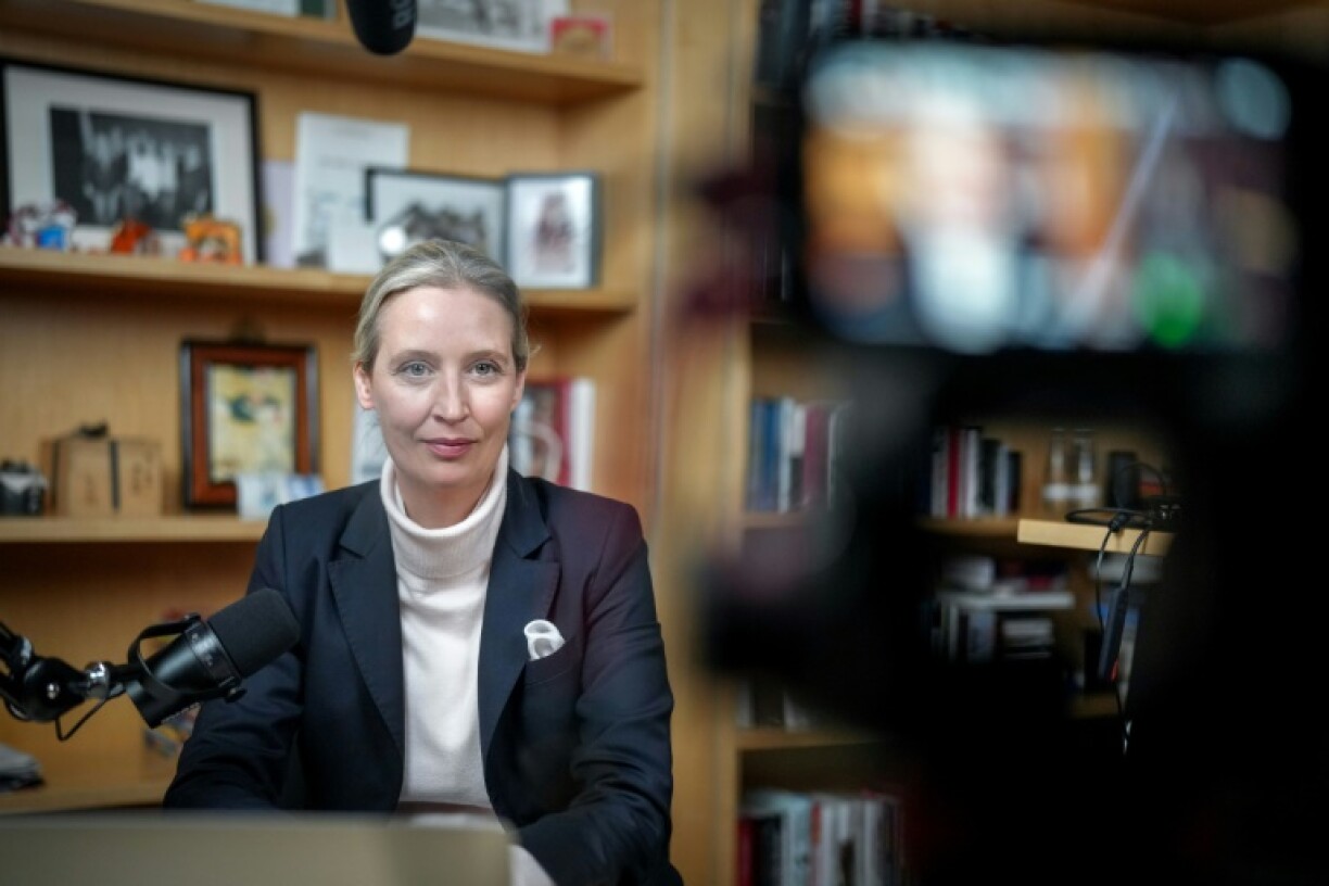 Elon Muck hosted an online chat on X with German far-right leader Alice Weidel