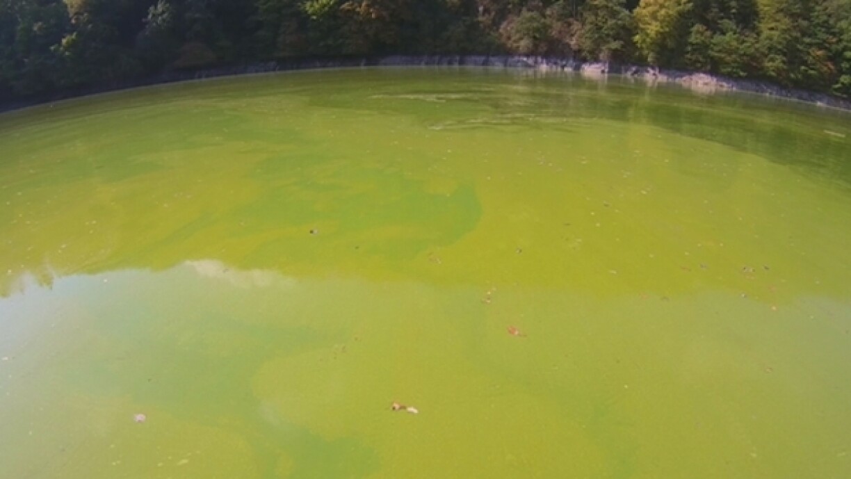 If it looks grim, don't swim.