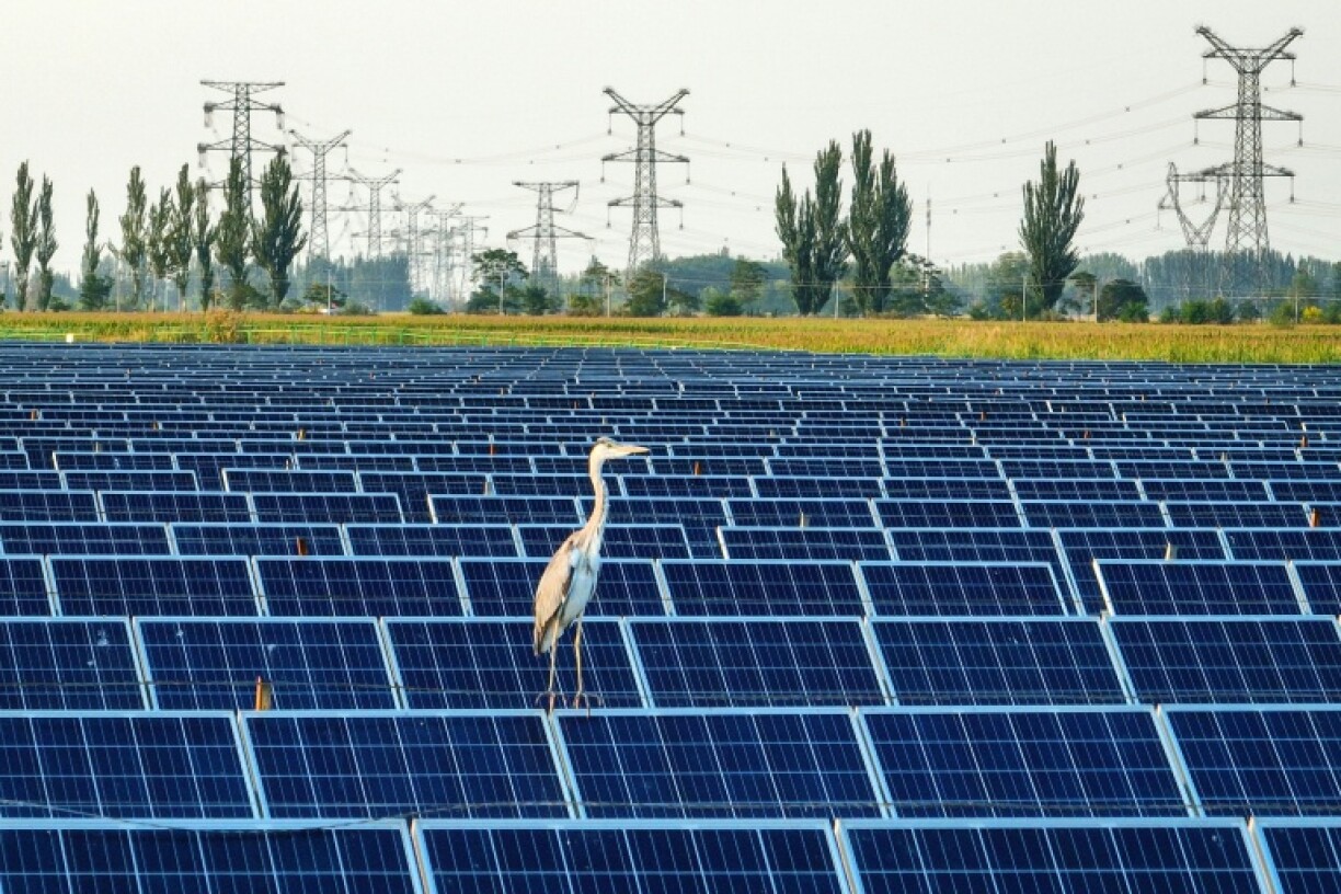 China's national energy body said in April 2025 wind and solar energy capacity had surpassed that of mostly coal-powered thermal for the first time