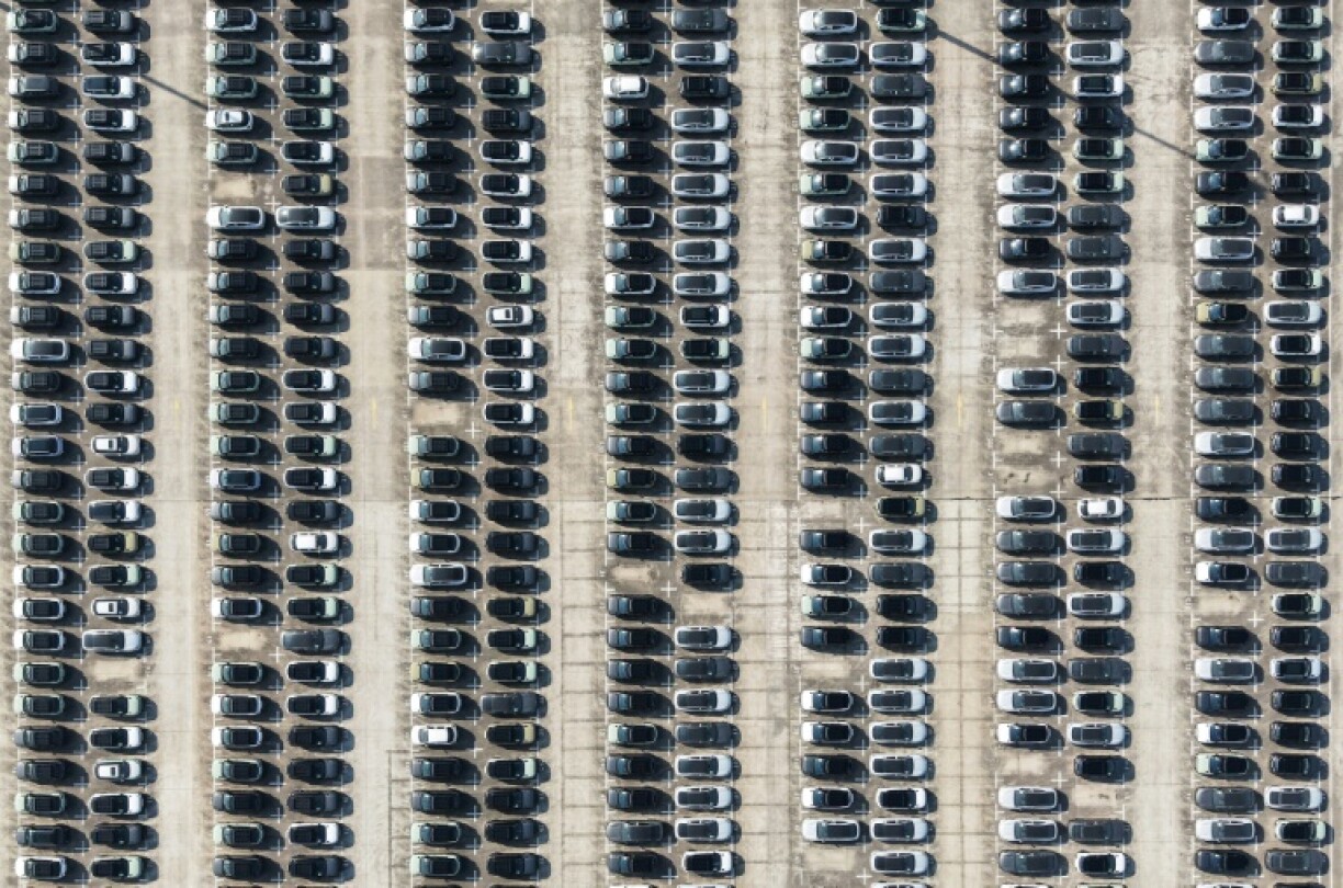 BYD, Geely, Dongfeng and others took 65 percent of the local market in 2024, up 22.2 percent year-on-year, data from MarkLines shows