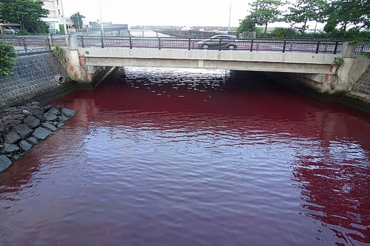 Photo diffusée par le 11e quartier général de la Garde côtière régionale, le 27 juin 2023, montrant une rivière teinte en rouge après la fuite d'un additif inoffensif utilisé par une brasserie, à Nago, sur l'île japonaise d'Okinawa