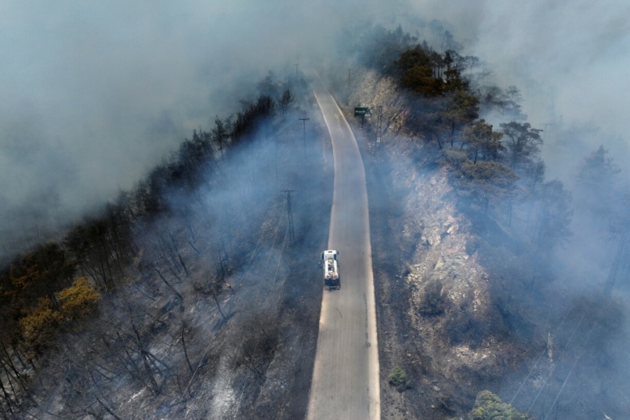 The fires have hit Syria's coastal mountains, burning vast areas of forest