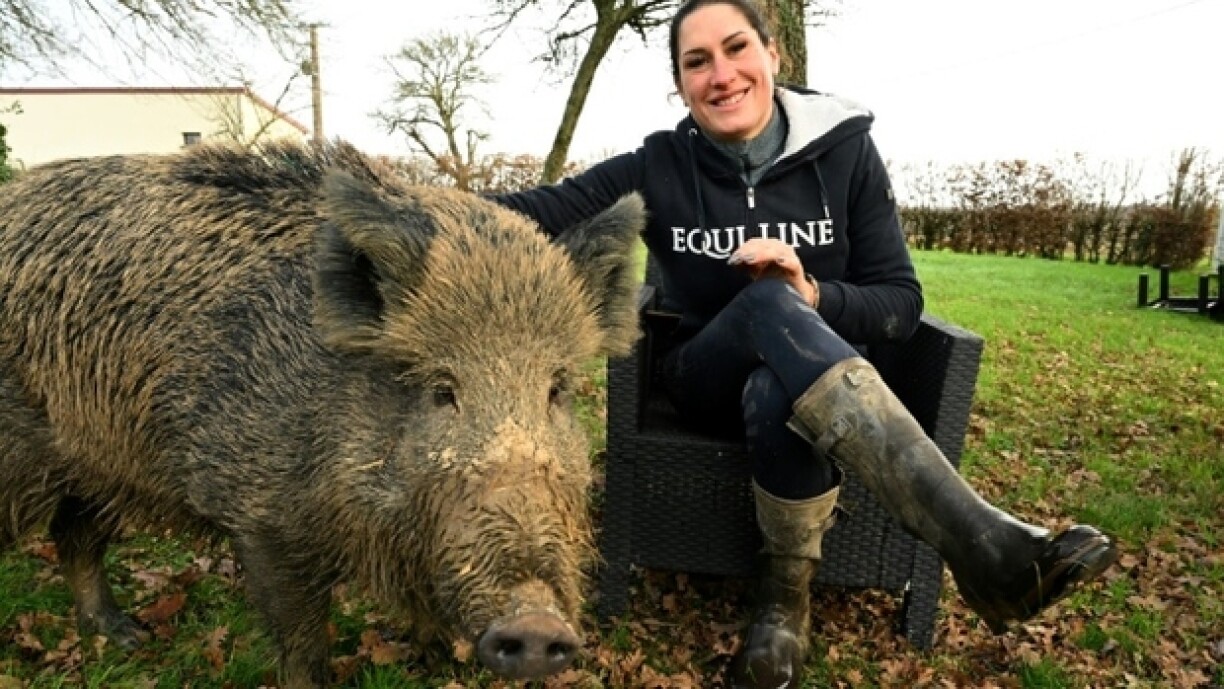 Elodie Cappé, qui possède une écurie près de Chaource (Aube) pose pour l'AFP le 24 décembre 2024 avec son sanglier apprivoisé Rillette, dont les autorités réclament le placement dans une