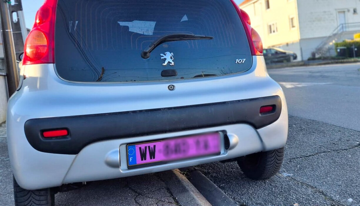 Difficile de ne pas les remarquer. Et c'est le but !