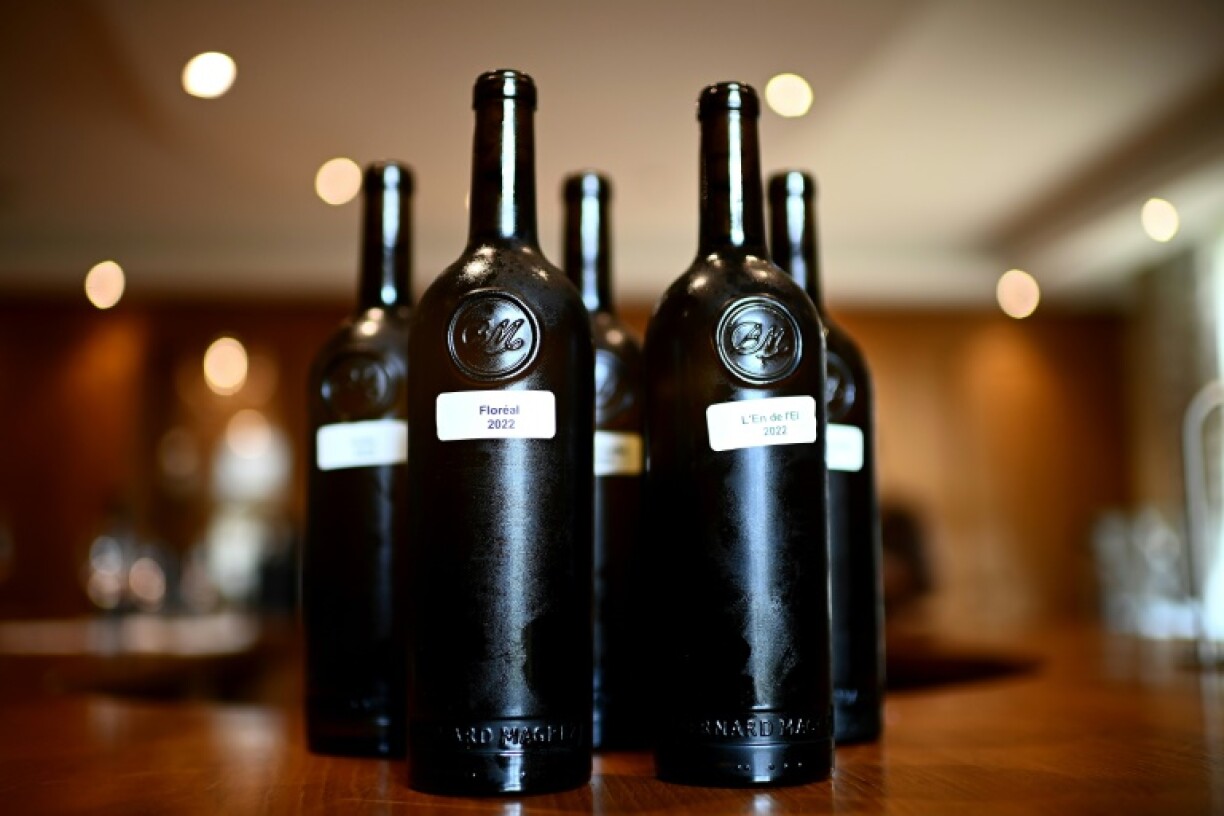 Des bouteilles de différents vins élaborés à partir de vignes expérimentales dans une salle de dégustation du Château La Tour Carnet, le 18 octobre 2023 à Saint-Laurent-Médoc, en Gironde