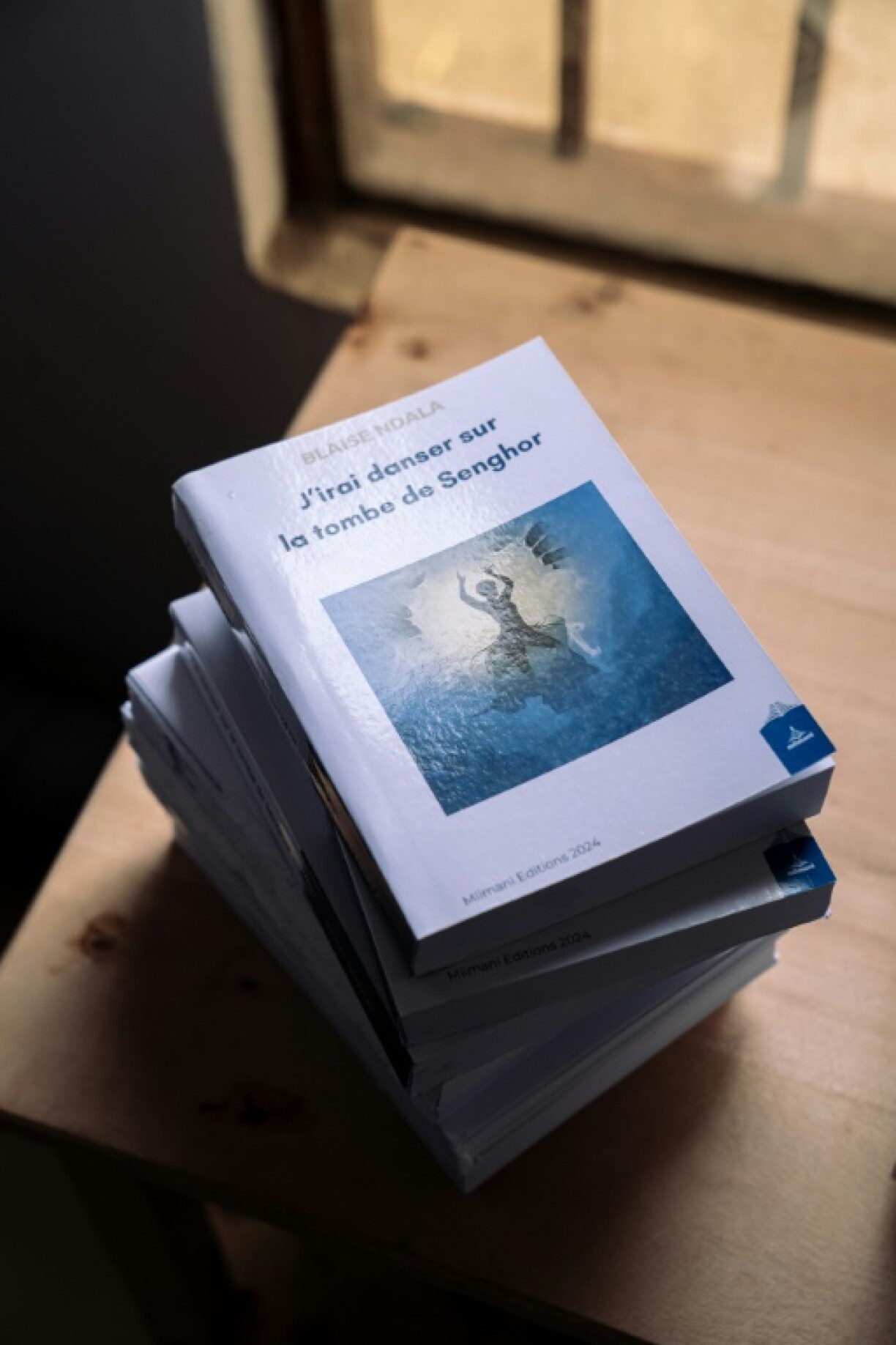 A year and a half on from its launch, the Mlimani publishing house's catalogue boasts a dozen published authors