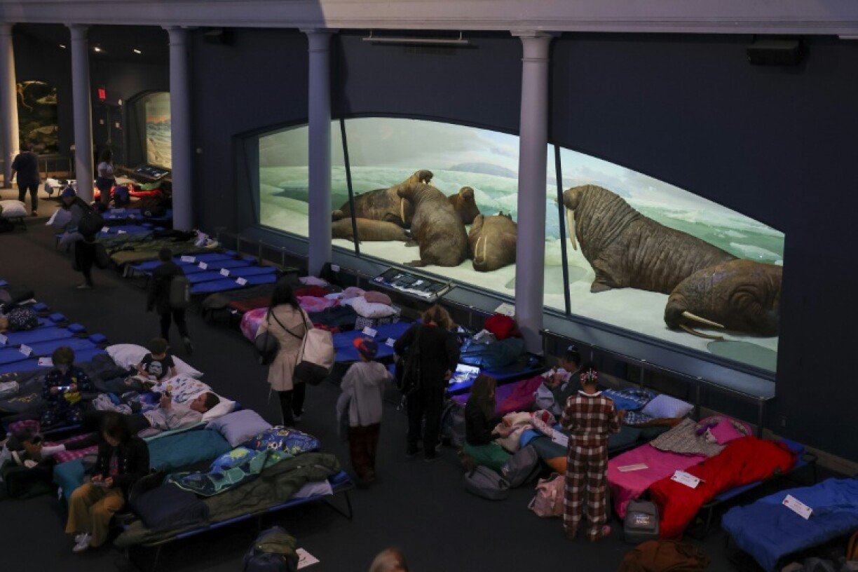 Visitors set up camp for a sleepover at the American Museum of Natural History in New York City