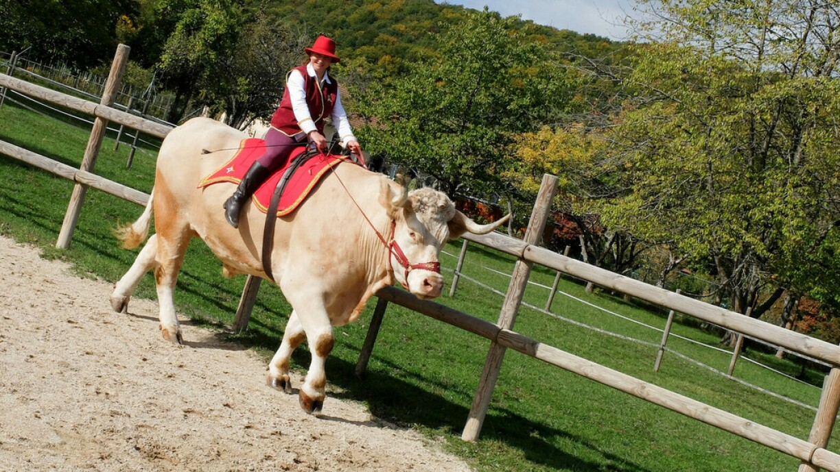 Le petit Aston est devenu (très) grand!