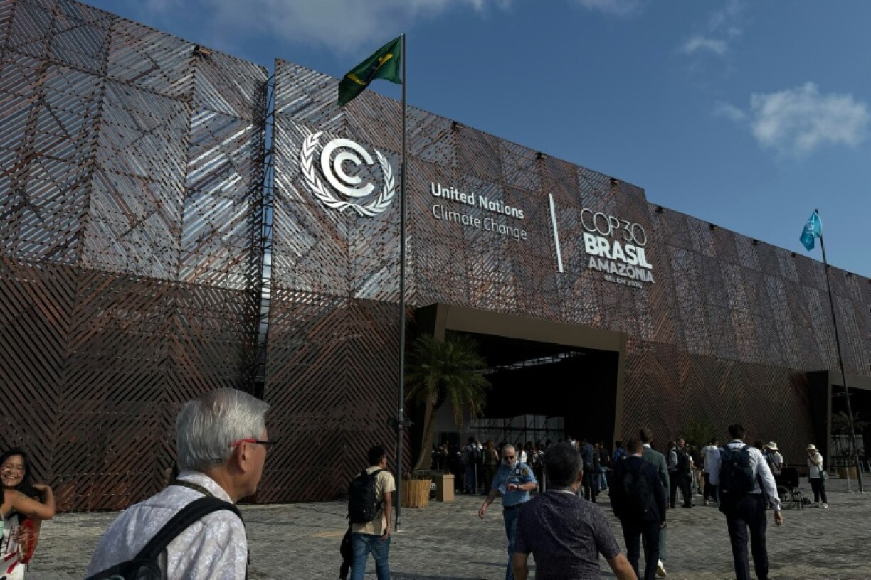 CIEL classified a total of 531 attendees at the UN talks in Belem, Brazil, as