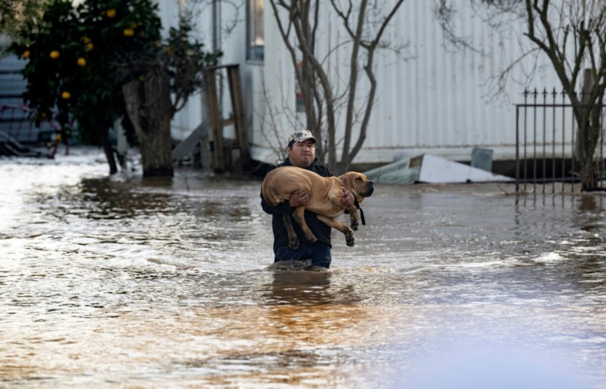 Un habitant sauve son chien d'une maison inondée à Merced en Californie, le 10 janvier 2023