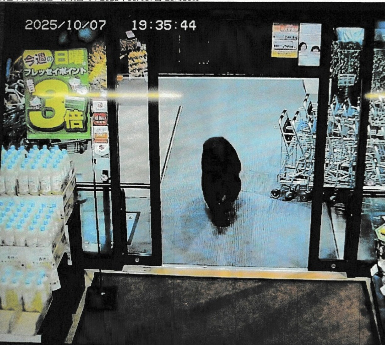 A bear entered a supermarket in Numata, north of Tokyo and lightly injured two customers