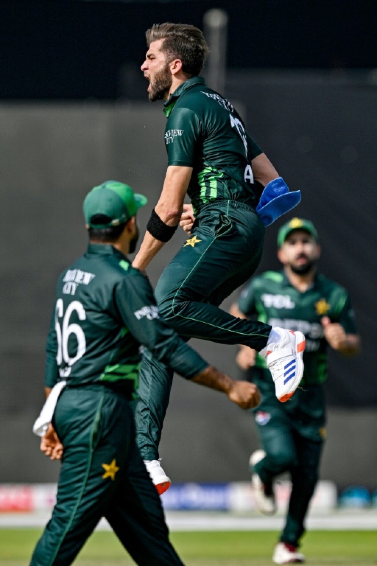 Breakthrough: Shaheen Shah Afridi celebrates after taking the wicket of Tony de Zorzi