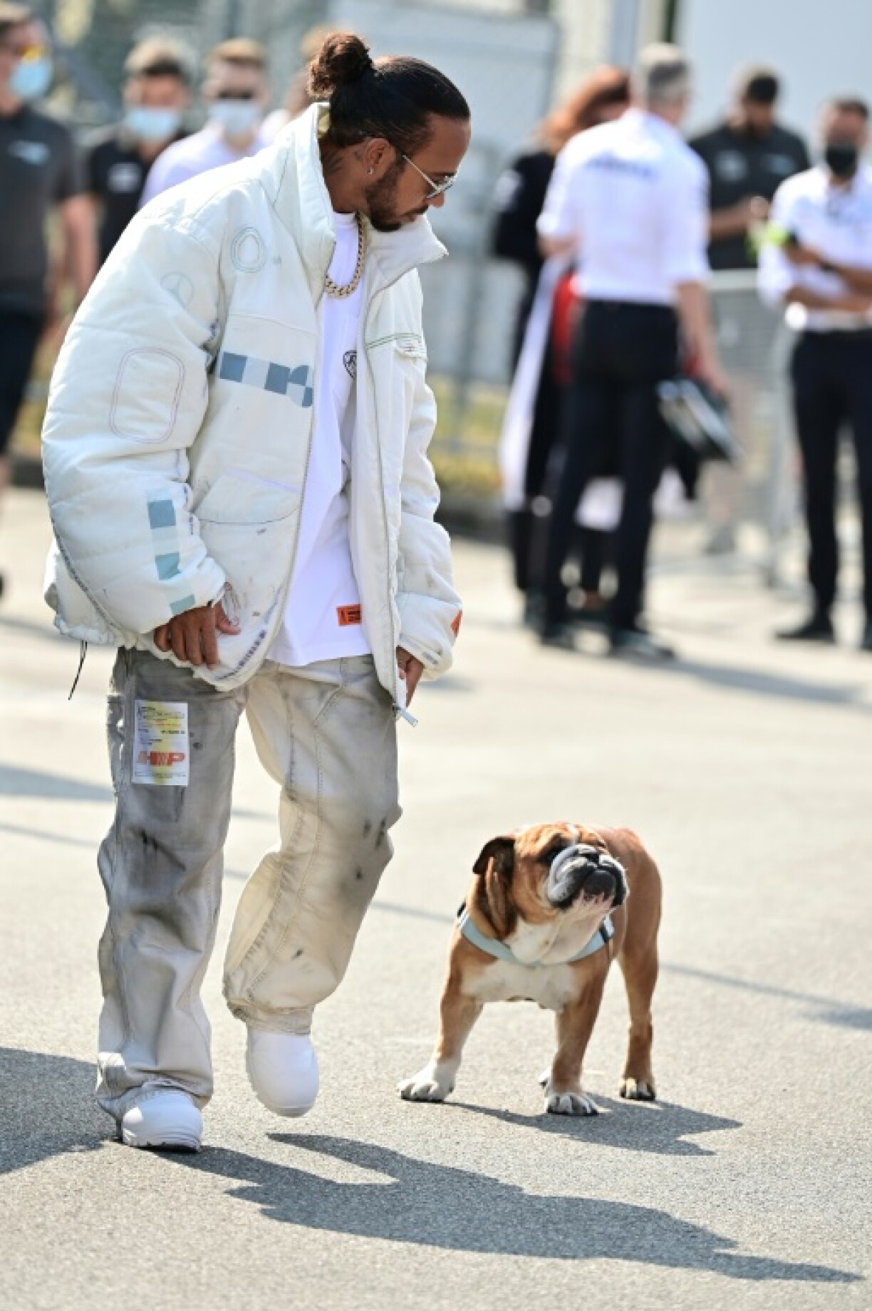 Lewis Hamilton has cancelled his dog Roscoe on social media