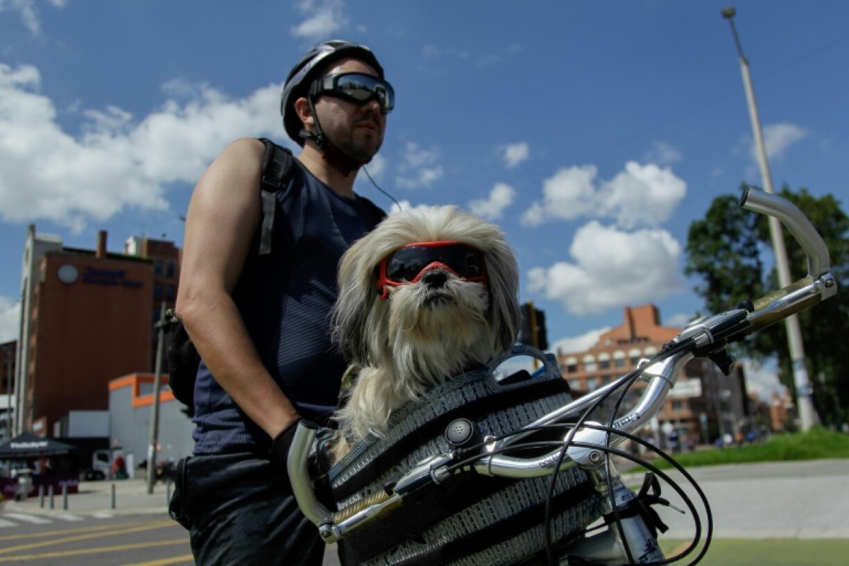 Bogota now has nearly 600 kilometers of dedicated cycle lines