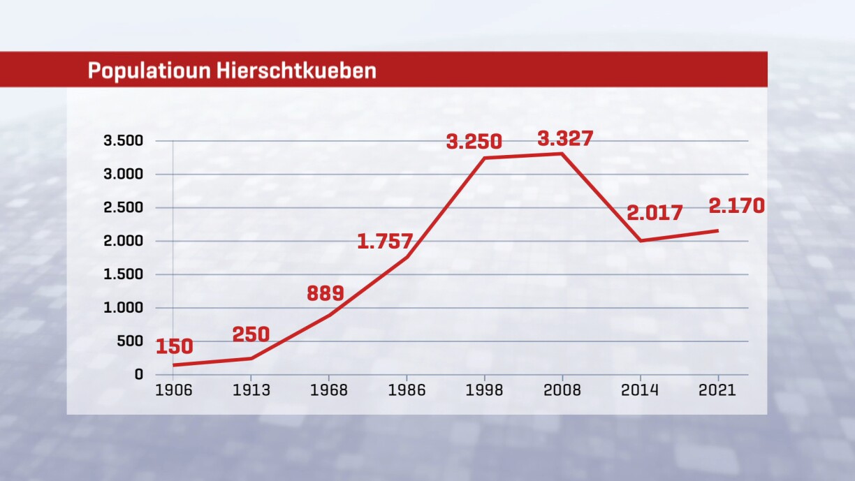 Populatioun Hierschtkueben en baisse vun 2008 un. Erhëlt sech liicht zënter 2014.