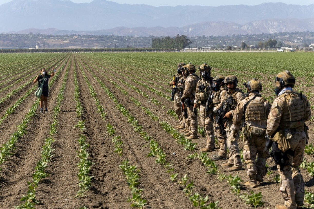 A woman raises her hands as Customs and Border Protection officers extend their skirmish line into a crop field during a raid by Federal immigration agents at Glass House Farms in Camarillo, California